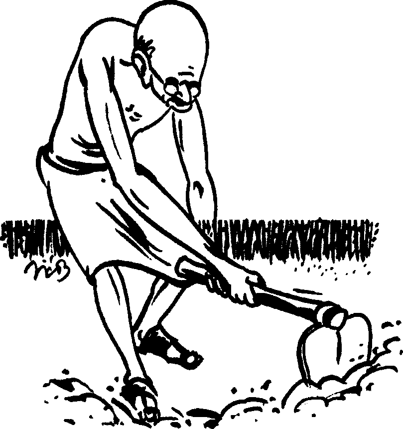 Gandhi as Kisan