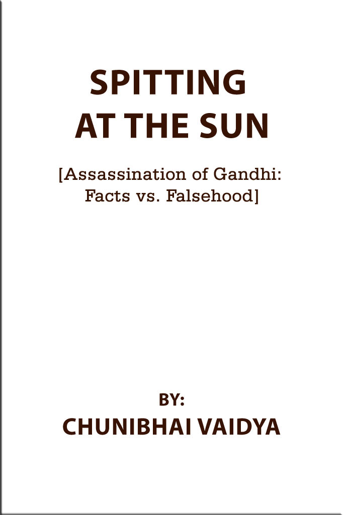 Spitting at the Sun book cover