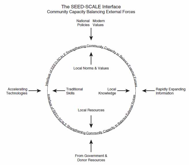 The SEED-Scale interface